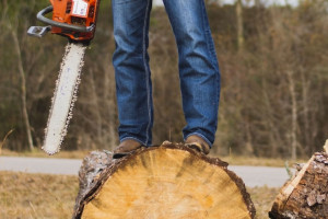 В Александрове сбежавшего от следствия «черного лесоруба» отправили в колонию