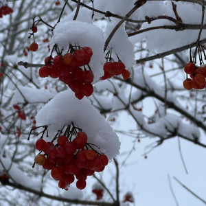 Прогноз погоды во Владимирской области на 20 января 2025 года