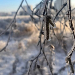 Во Владимирской области пройдет ледяной дождь