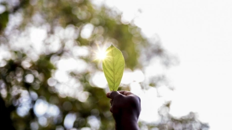 Владимирская область стала «хорошистом» в экорейтинге