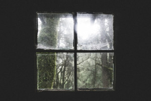 Жителя Владимира осудили на 8,5 лет за убийство друга на Новый год