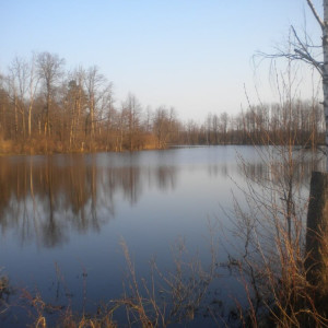 Прогноз погоды во Владимирской области на 14 ноября 2024 года