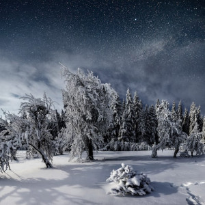 Лютый мороз до -31 ожидается ночью 26 января