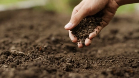 Во Владимирской области на крупное пищевое предприятие подали в суд из-за птичьего помета