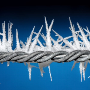 МЧС предупредило о заморозках до -2 во Владимирской области