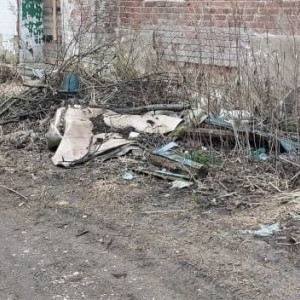 Огромная стихийная свалка в Камешково привела к суду