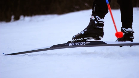 Прокуратура после критики Губерниева проверит спортшколу имени Прокуророва во Владимире