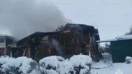При пожаре в частном доме под Муромом пострадала женщина