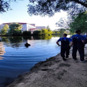 За три дня во Владимирской области утонули 4 человека