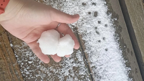 Во Владимире пошел снег