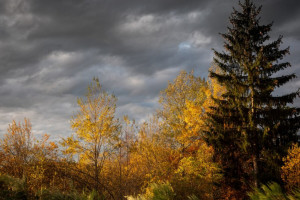 Прогноз погоды во Владимире и области на 4 октября