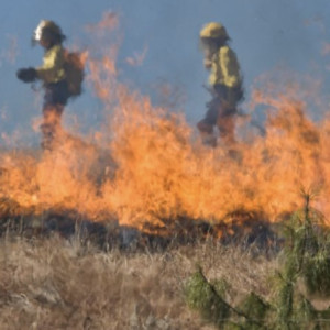 Во Владимирской области пожары охватили сухую траву в 72 местах