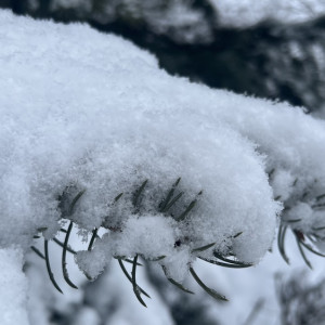 Во Владимирской области выпадет треть февральской нормы снега