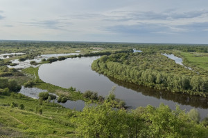 Во Владимирской области летом будут открыты 38 пляжей для купания