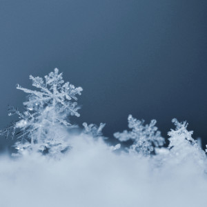 Прогноз погоды во Владимире и области на 17 декабря