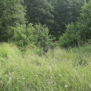 Утонувшему в Меленках мужчине было 68 лет