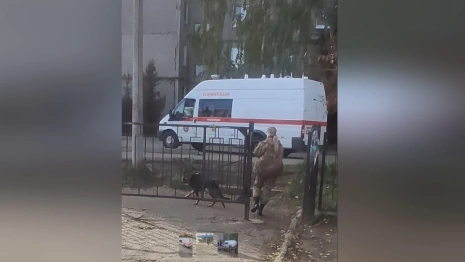 Экстренные службы съехались к школе №40 во Владимире