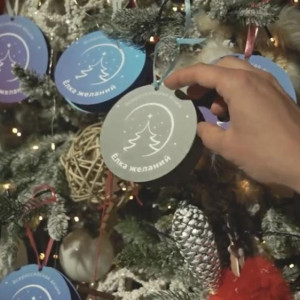 Во Владимирской области открылся прием на заявок на «Елку желаний»