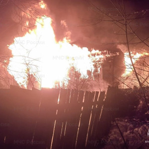 МЧС показало кадры с места гибели 3 человек на пожаре под Гороховцом