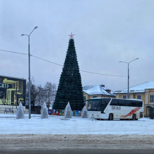 В Александрове поставили новогоднюю елку