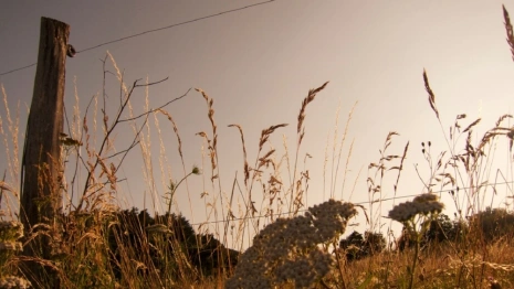 В Александрове мошенничество с продажей участка обернулось ущербом в 15 млн 