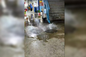 Во Владимире на рынке «Ополье» забил фонтан