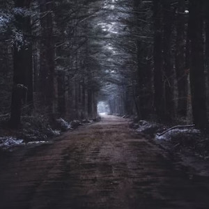 Пропавшего в декабре 24-летнего жителя Коврова нашли мертвым