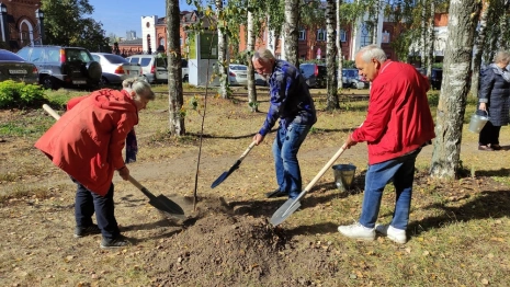 Во Владимире к 175-летию основания драмтеатра высадили 13 берез