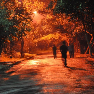 Место гибели пропавшей неделю назад ковровчанки вычислили ее дети