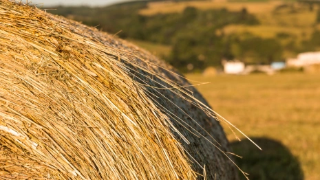 Михаил Соломенный: что можно и нельзя делать 13 октября