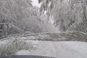Самый мощный за 116 лет московский снегопад обрушился на запад Владимирской области