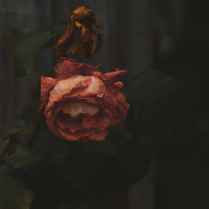 Во Владимирской области пропавшую в феврале 44-летнюю женщину нашли мертвой