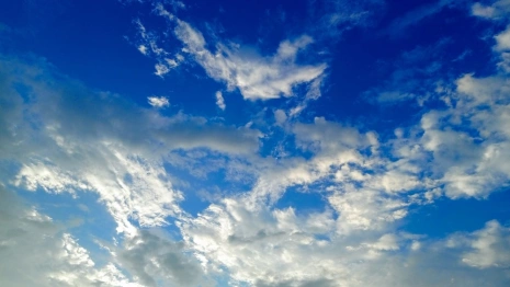 Прогноз погоды во Владимирской области на 15 августа