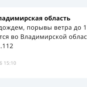 МЧС предупредило о грозе с дождем и сильном ветре во Владимирской области