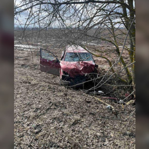 Во Владимирской области водитель и пассажир иномарки погибли в ДТП с деревом