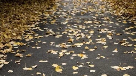 Чиновника из Коврова наказали за грязь на улицах