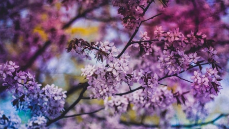 Какая погода ждет жителей Владимирской области в последние майские?