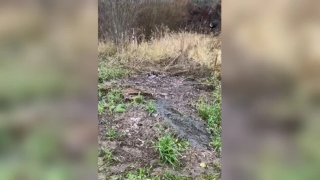 Жители Боголюбово пожаловались на слив сточных вод под окнами