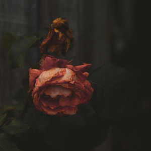 Во Владимире нашли мертвым пропавшего без вести 66-летнего мужчину