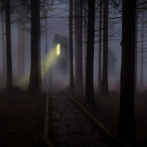 Владимирцев позвали на новые срочные поиски пропавшего в лесу человека