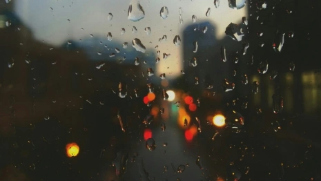 Во Владимирской области потеплеет до +8 градусов
