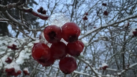 Прогноз погоды во Владимирской области на 22 февраля 2025 года