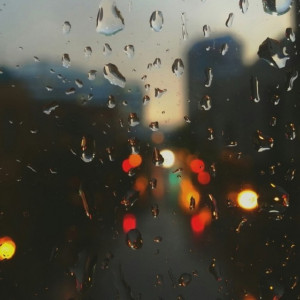 Во Владимирской области потеплеет до +8 градусов
