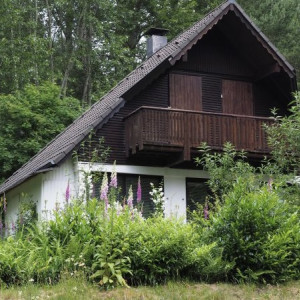 Во Владимирской области рецидивист из Москвы ограбил 18 дачных домов