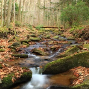 День Онуфрия Молчаливого: что можно и нельзя делать 3 августа