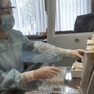 Во Владимирской области с людей сняли 13 зараженных болезнью Лайма клещей