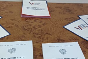 Во Владимире на выборах дистанционно проголосовали 68 тыс. человек