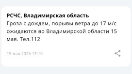 МЧС предупредило о грозе с дождем и сильном ветре во Владимирской области