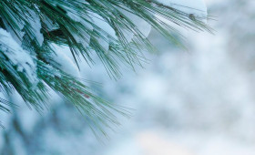 Прогноз погоды во Владимире и области на 22 декабря 2025 года