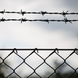 Житель Владимирской области избил мать из-за 80 тыс. рублей